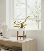 Load image into Gallery viewer, White stand:walnut
