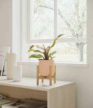 Load image into Gallery viewer, Gentle Pink stand:bamboo
