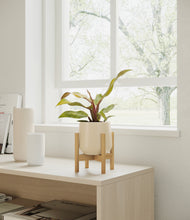 Load image into Gallery viewer, Almond Green stand:bamboo
