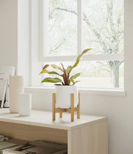 Load image into Gallery viewer, White stand:bamboo
