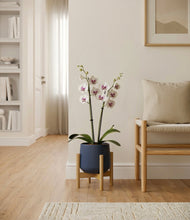 Load image into Gallery viewer, Deep Navy stand:bamboo
