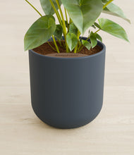 Load image into Gallery viewer, Iron Gray stand:all
