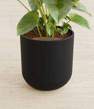 Load image into Gallery viewer, Stone Black stand:all
