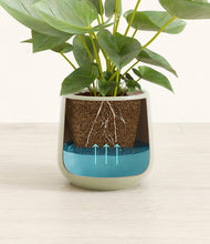 Load image into Gallery viewer, Turquoise
