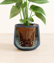 Load image into Gallery viewer, Deep Navy stand:all
