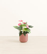 Load image into Gallery viewer, Hammered Rose Pink*****Profile
