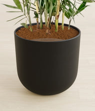 Load image into Gallery viewer, Stone Black stand:all
