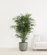 Load image into Gallery viewer, Sage Green
