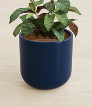 Load image into Gallery viewer, Twilight Blue stand:all
