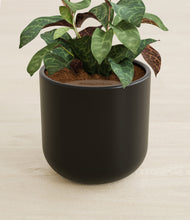 Load image into Gallery viewer, Stone Black stand:all
