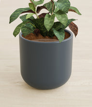 Load image into Gallery viewer, Iron Gray stand:all
