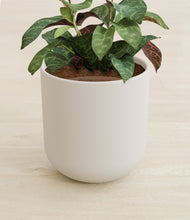 Load image into Gallery viewer, Natural Bamboo stand:all
