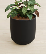 Load image into Gallery viewer, Stone Black stand:all
