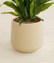 Load image into Gallery viewer, Almond Green stand:all
