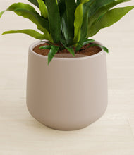 Load image into Gallery viewer, Eternal Gray stand:all
