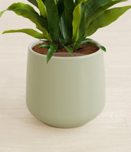 Load image into Gallery viewer, Turquoise stand:all
