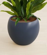 Load image into Gallery viewer, Deep Navy stand:all
