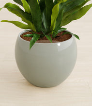 Load image into Gallery viewer, Deep Ocean stand:all
