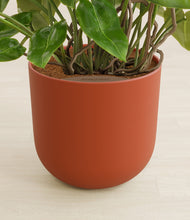 Load image into Gallery viewer, Earth Red stand:all
