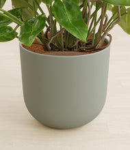 Load image into Gallery viewer, Sage Green stand:all
