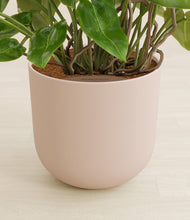 Load image into Gallery viewer, Sandy Pink stand:all
