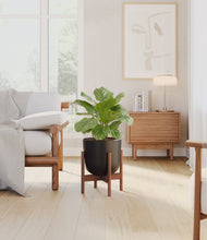 Load image into Gallery viewer, Stone Black stand:walnut
