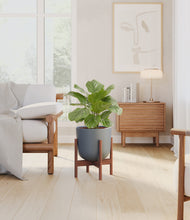 Load image into Gallery viewer, Iron Gray stand:walnut
