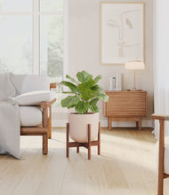 Load image into Gallery viewer, Sandy Pink stand:walnut
