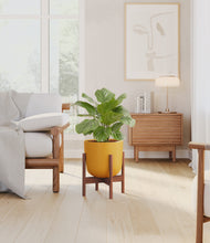 Load image into Gallery viewer, Sunset Orange stand:walnut
