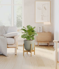 Load image into Gallery viewer, Sage Green stand:bamboo
