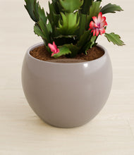 Load image into Gallery viewer, Winter Clouds stand:all
