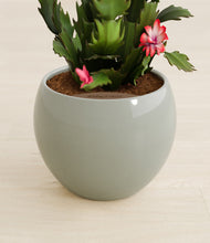 Load image into Gallery viewer, Deep Ocean stand:all
