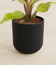 Load image into Gallery viewer, Stone Black stand:all

