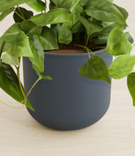 Load image into Gallery viewer, Iron Gray stand:all
