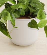 Load image into Gallery viewer, Natural Bamboo stand:all
