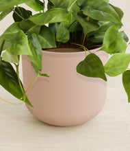 Load image into Gallery viewer, Sandy Pink stand:all
