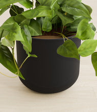 Load image into Gallery viewer, Stone Black stand:all
