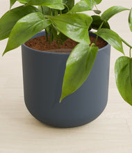 Load image into Gallery viewer, Iron Gray stand:all
