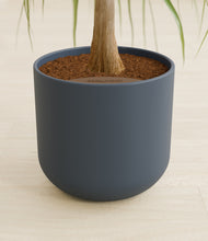 Load image into Gallery viewer, Iron Gray stand:all
