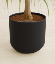 Load image into Gallery viewer, Stone Black stand:all
