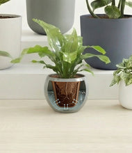 Load image into Gallery viewer, Soft Stone stand:all
