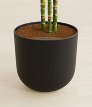 Load image into Gallery viewer, Stone Black stand:all
