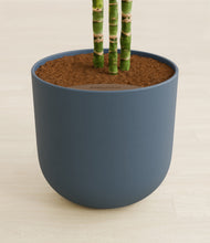 Load image into Gallery viewer, Iron Gray stand:all
