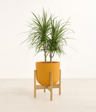 Load image into Gallery viewer, Sunset Orange stand:bamboo
