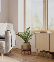 Load image into Gallery viewer, Olive stand:walnut
