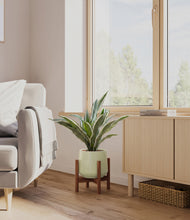 Load image into Gallery viewer, Turquoise stand:walnut
