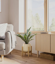 Load image into Gallery viewer, Almond Green stand:bamboo
