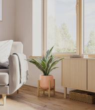 Load image into Gallery viewer, Calm Rose stand:bamboo
