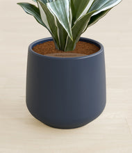 Load image into Gallery viewer, Deep Navy stand:all
