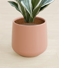 Load image into Gallery viewer, Calm Rose stand:all
